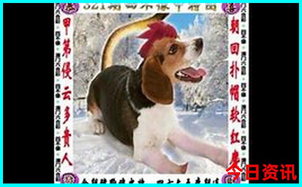 贵州3日游自由行攻略